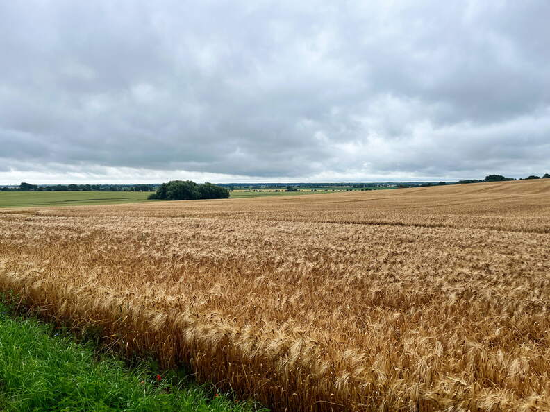 24-06-30 11-07-21 0030